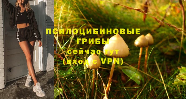 сатива Струнино