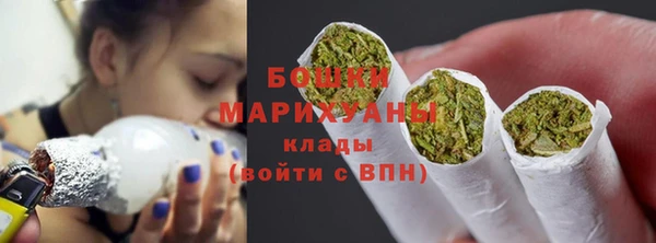 сатива Струнино