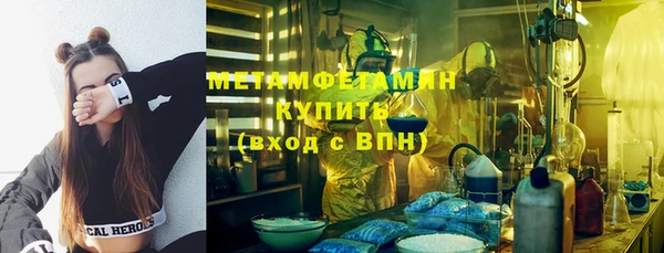 сатива Струнино