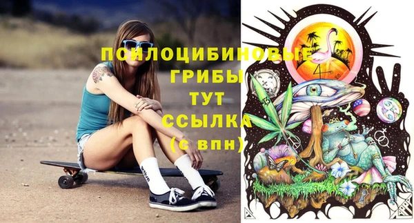 дурь Новоузенск